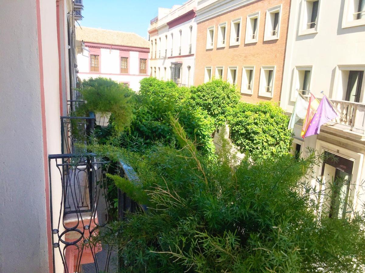 Eva Recommends Alameda Sevilla ภายนอก รูปภาพ